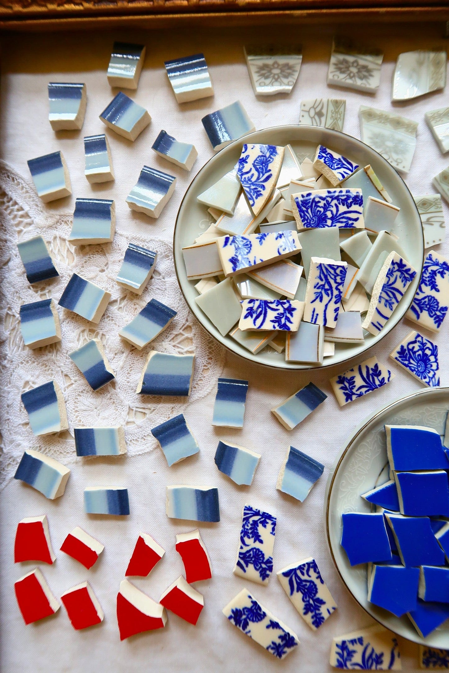 Bluejay Abundance