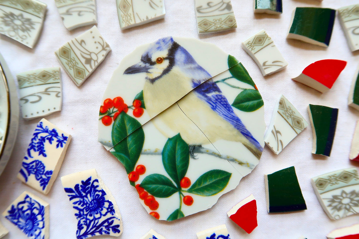 Bluejay Abundance