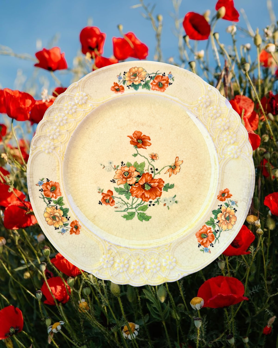 1928~ Love in Poppies